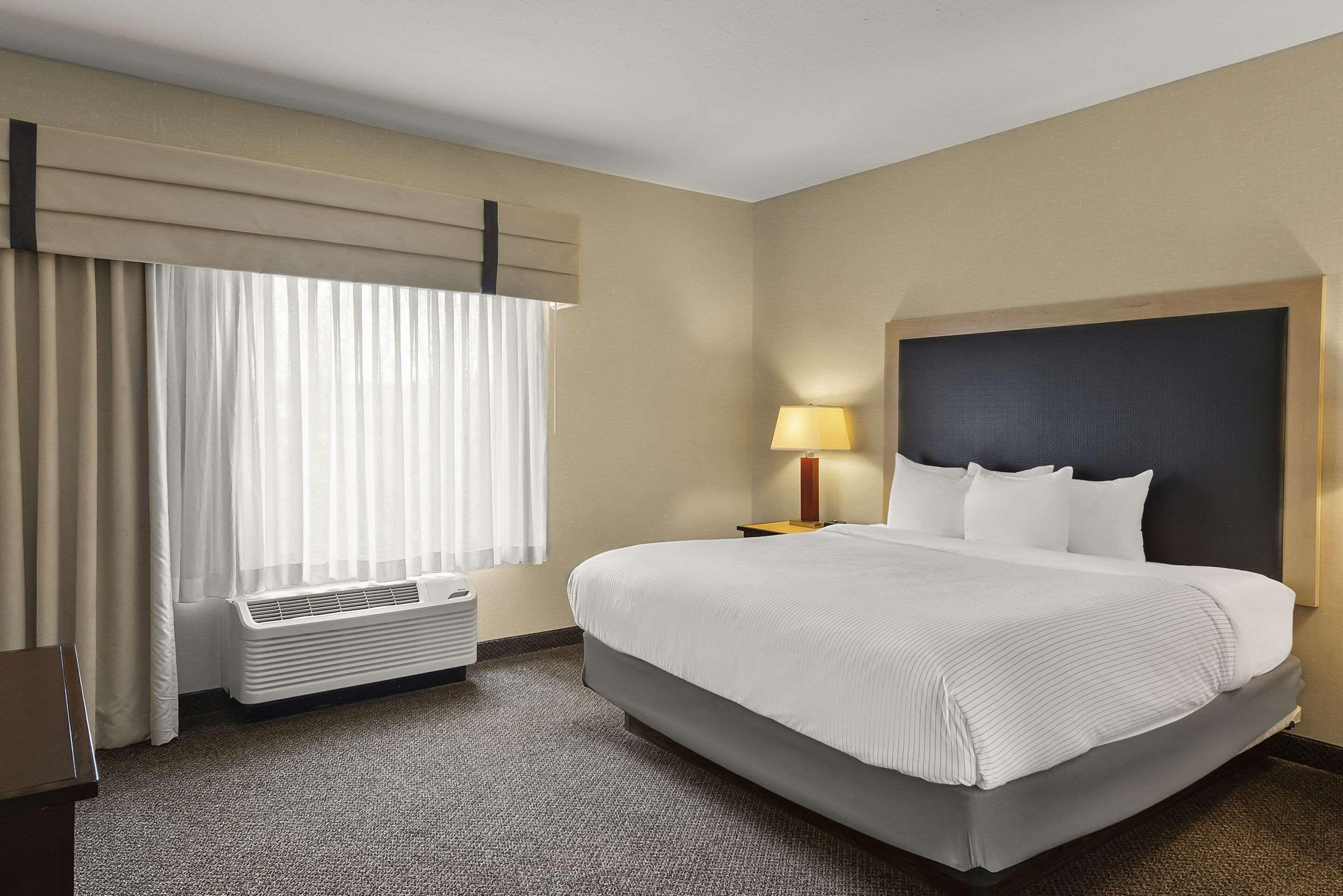 SUITE, KING BED