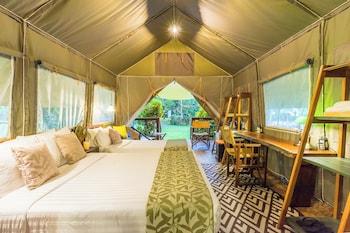 Deluxe, Tent, Triple, Queen Bed