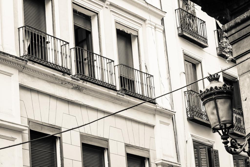 OLMEDO 2/40