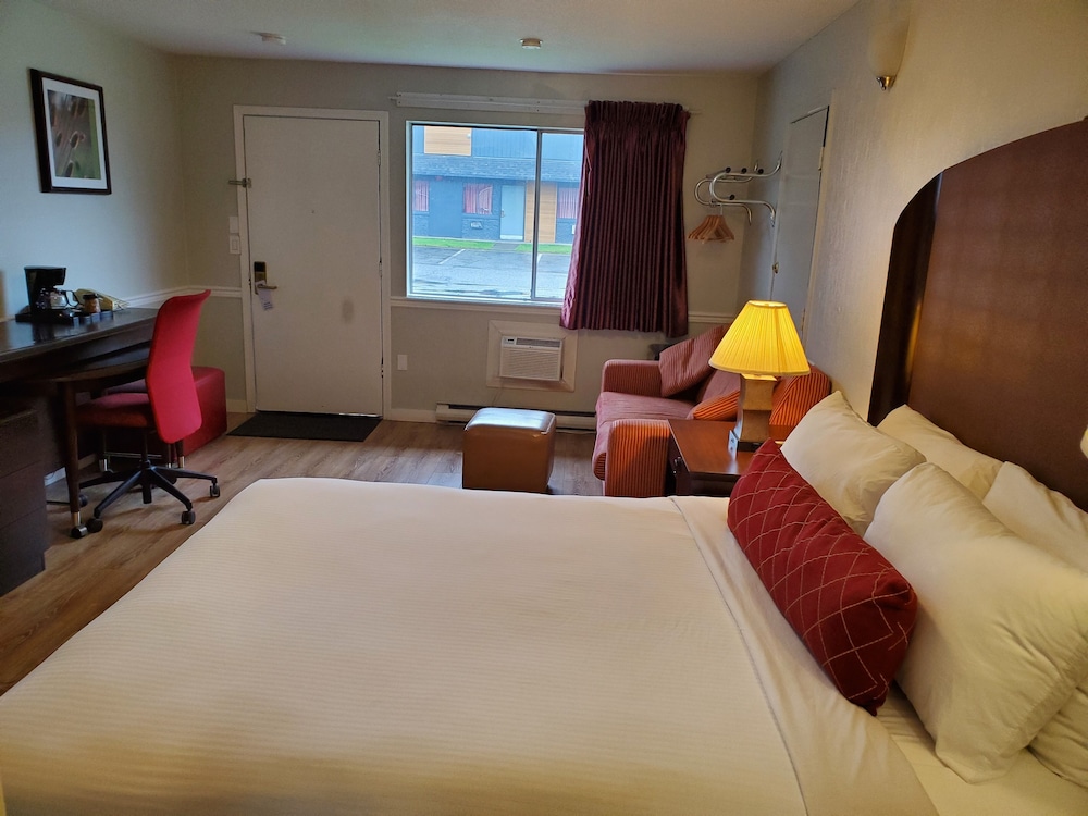Alpine Inn Abbotsford 15/50