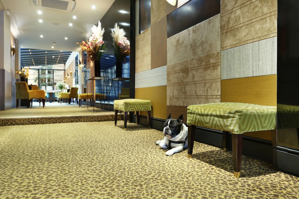 Hotel Concortel 6/48