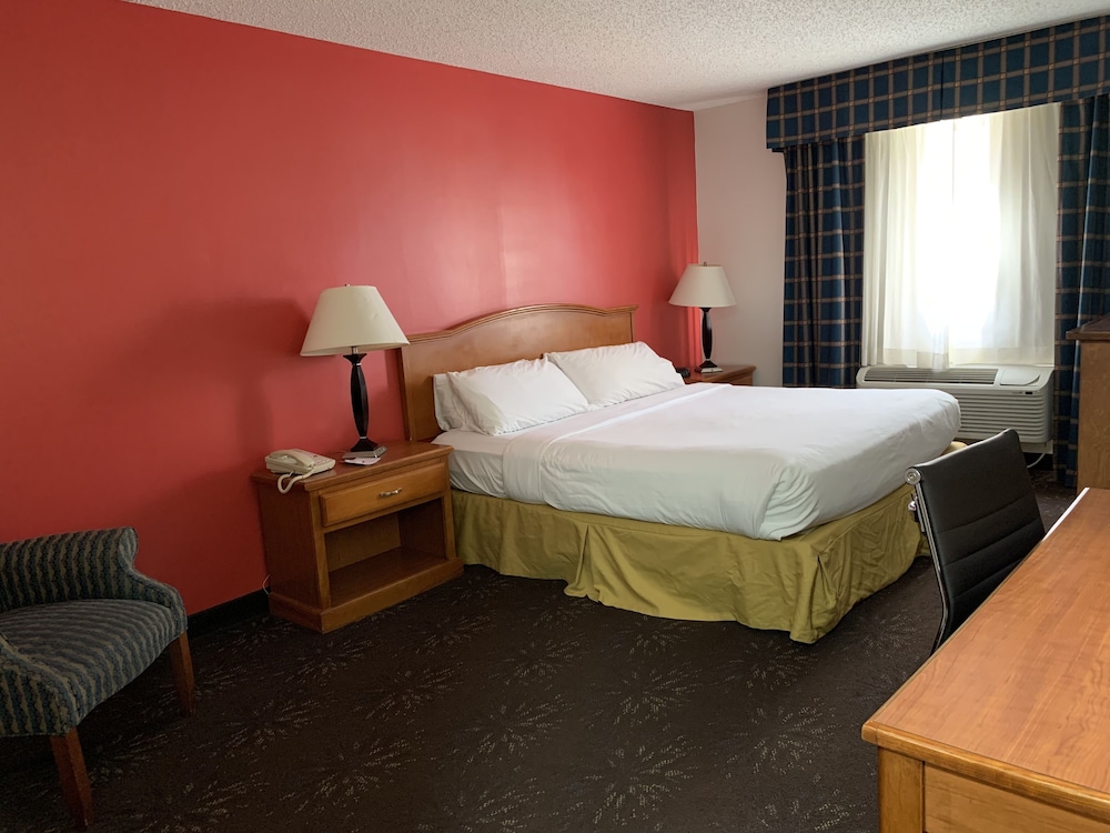 Room, King Bed