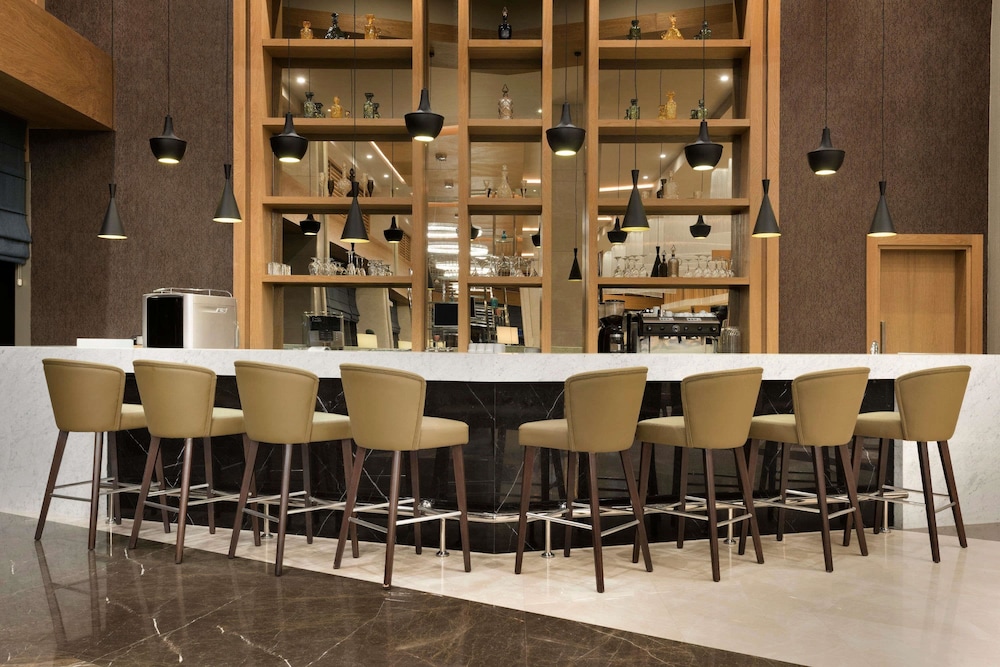 Ramada Plaza by Wyndham Konya 49/55