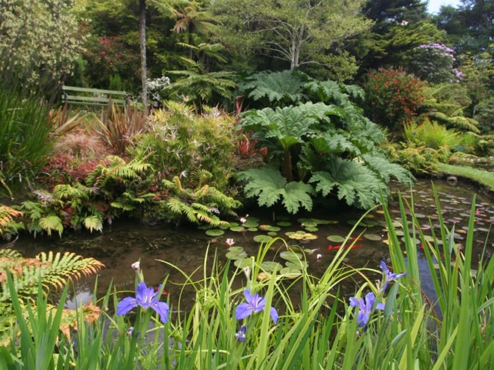 RAPAURA WATERGARDENS 31/36