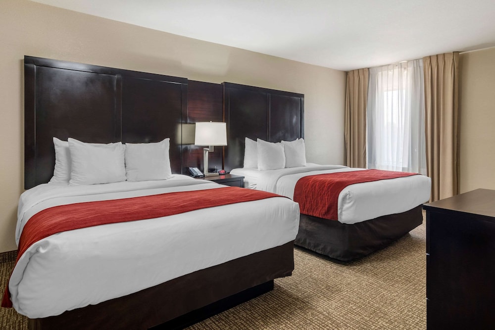 Comfort Inn & Suites Atlanta/Smyrna 18/35