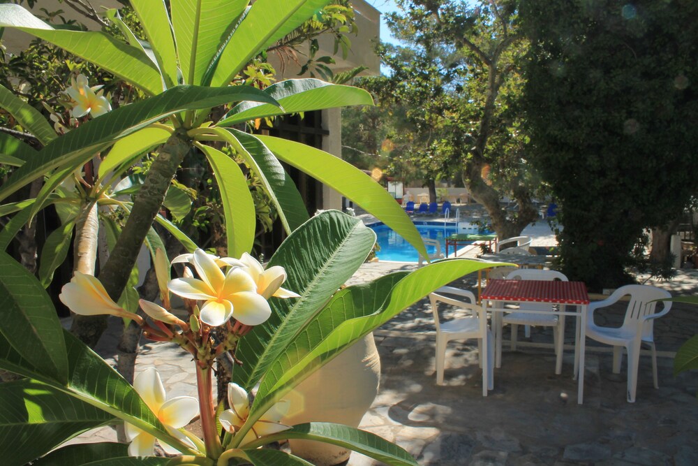 Hotel Esperides 26/31