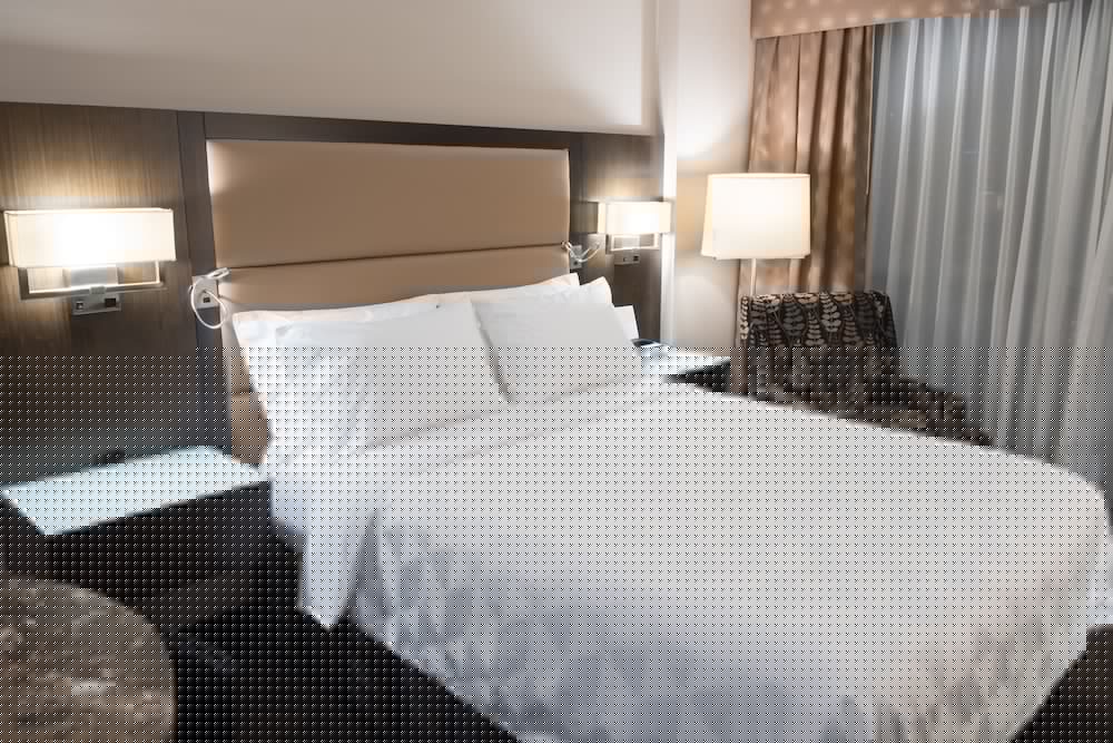 HOLIDAY INN HOTEL AND SUITES VANCOUVER DOWNTOWN 13/73