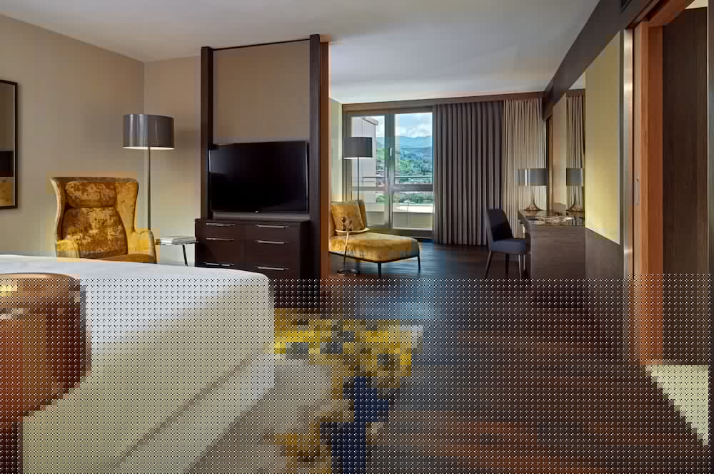 Sheraton Grand Tbilisi Metechi Palace 30/88