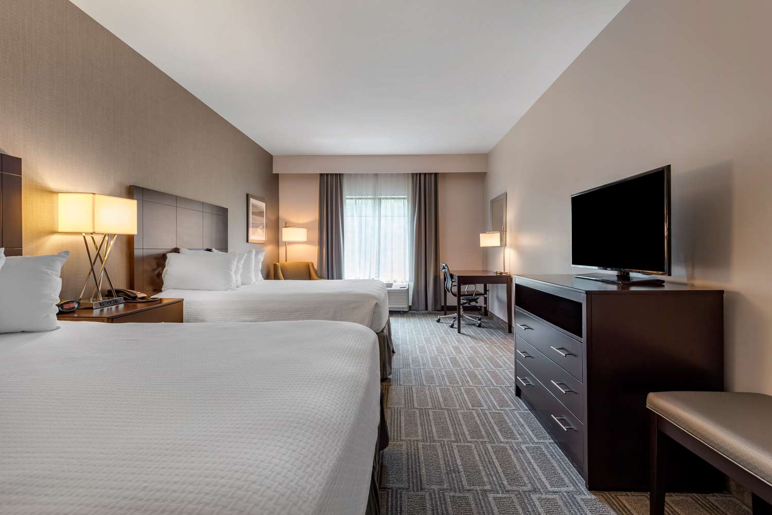 Suite, King Bed, Sofa, Accessible