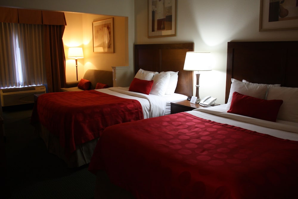 جناح استوديو بسريرين كوين، Ramada By Wyndham Denver International Airport 3/6