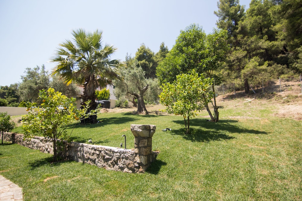 Casa Luxury Suites 24/44