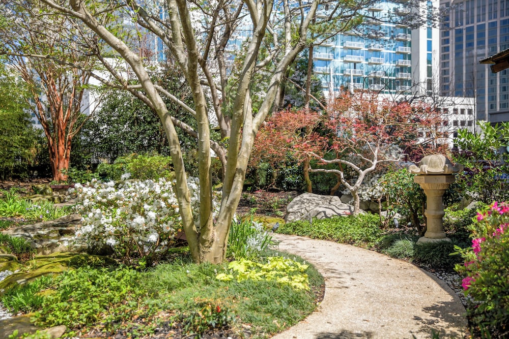 Grand Hyatt Atlanta In Buckhead 46/50