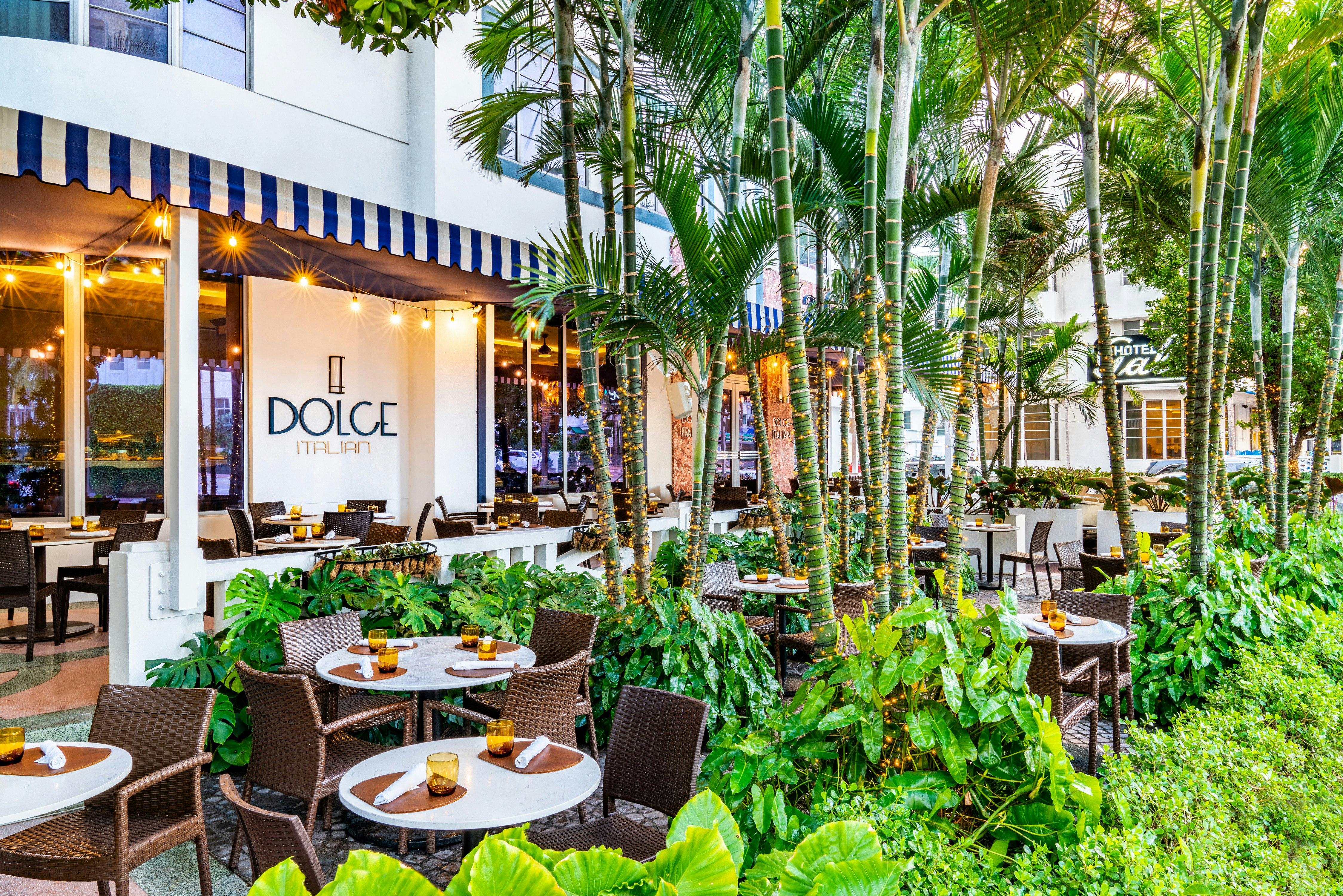 Gale South Beach Curio Collection By Hilton 34/49