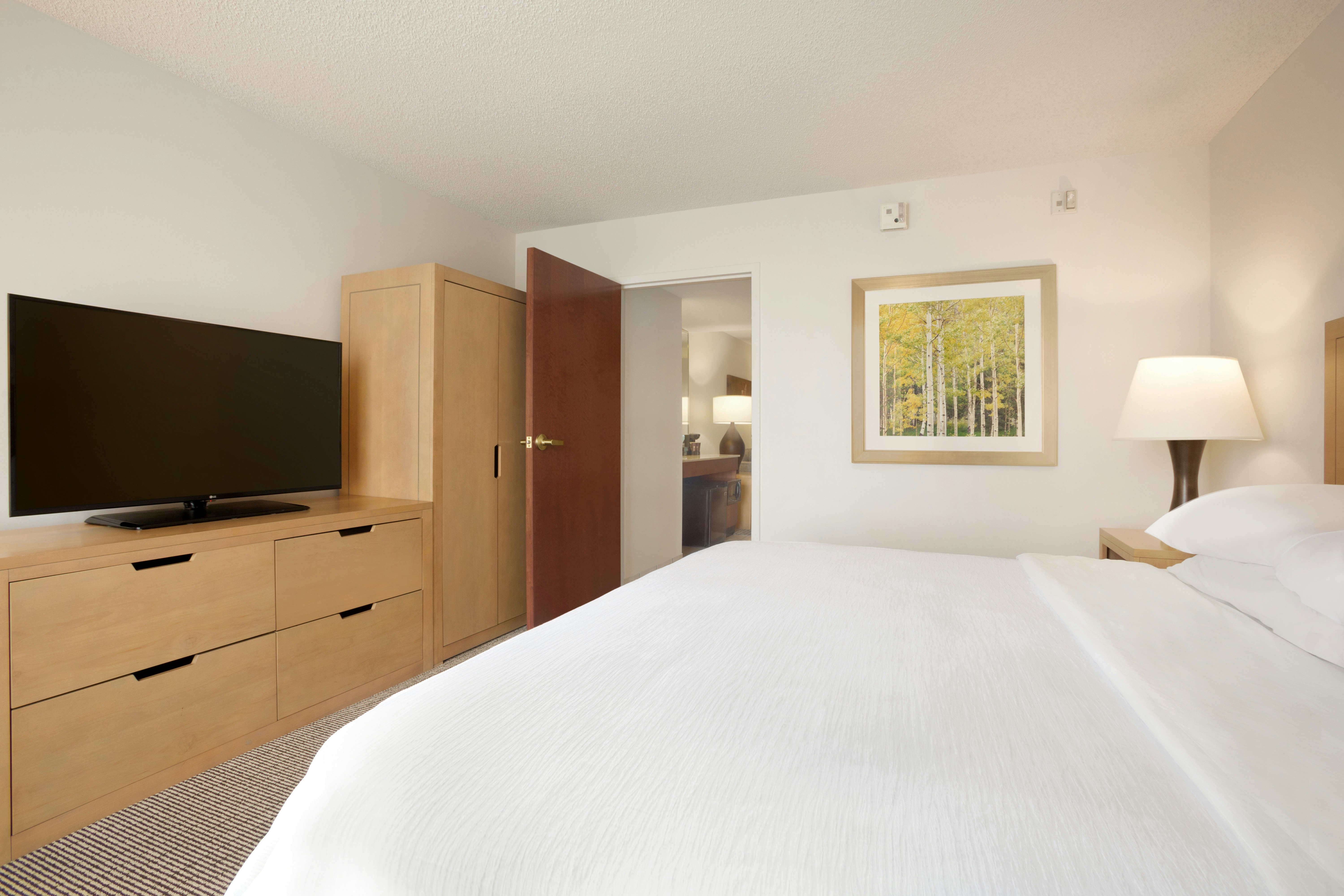 SUITE, KING BED, ACCESSIBLE