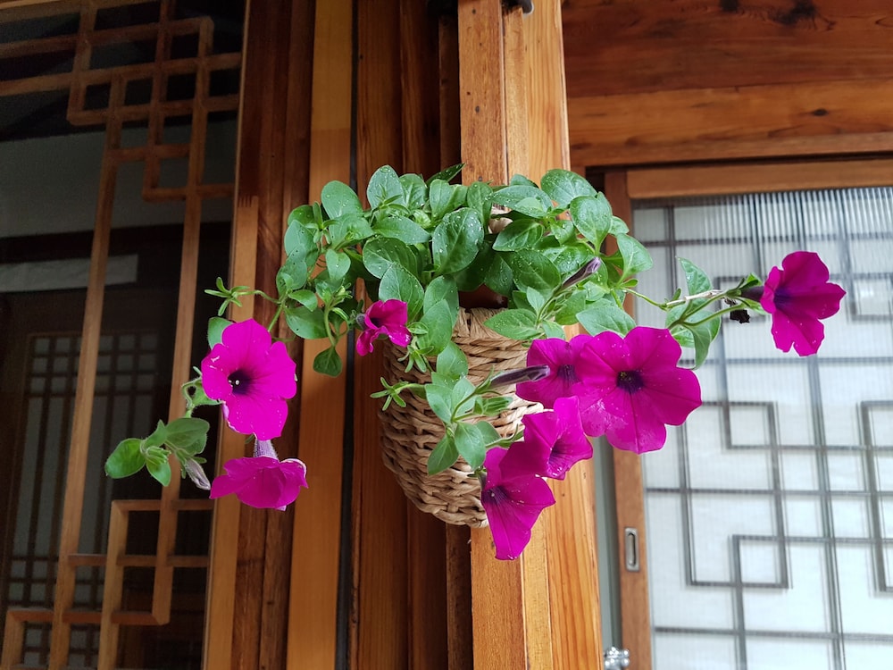 Dajayon Guest House 5/70