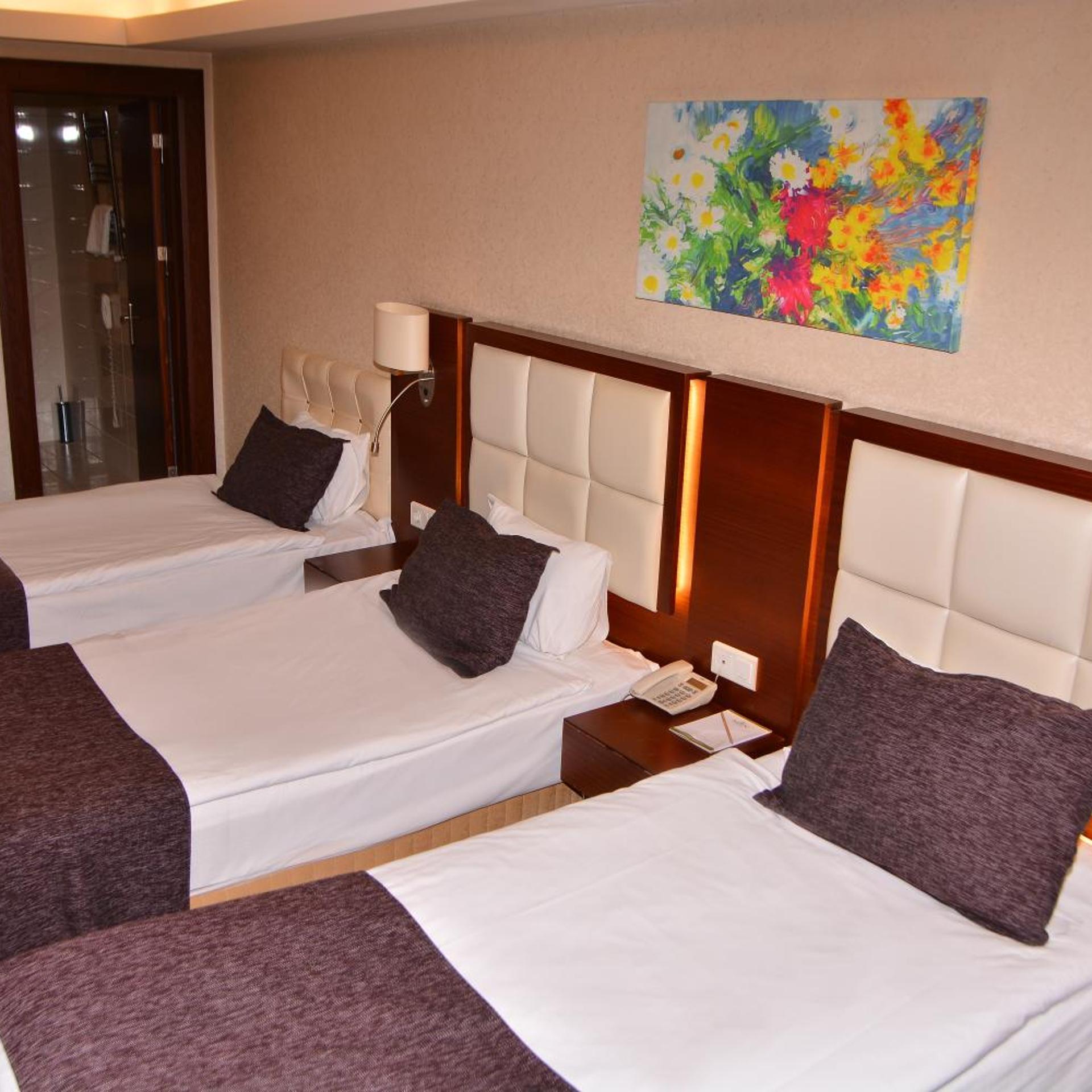 غرفة ثلاثية، ASRIN BUSINESS HOTEL 2/10