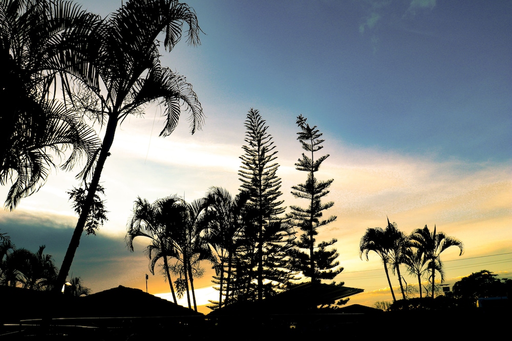 Hotel Quindio Campestre 23/29
