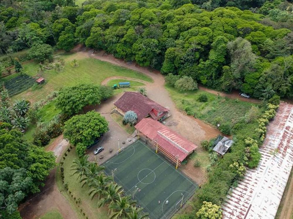 Hotel Del Bosque 39/41
