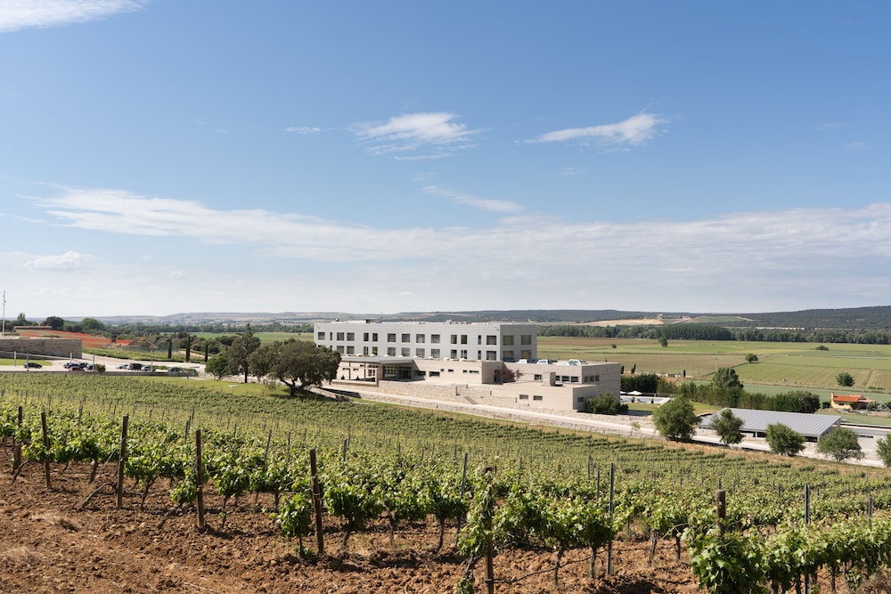 Valbusenda Hotel Bodega and Spa 61/68