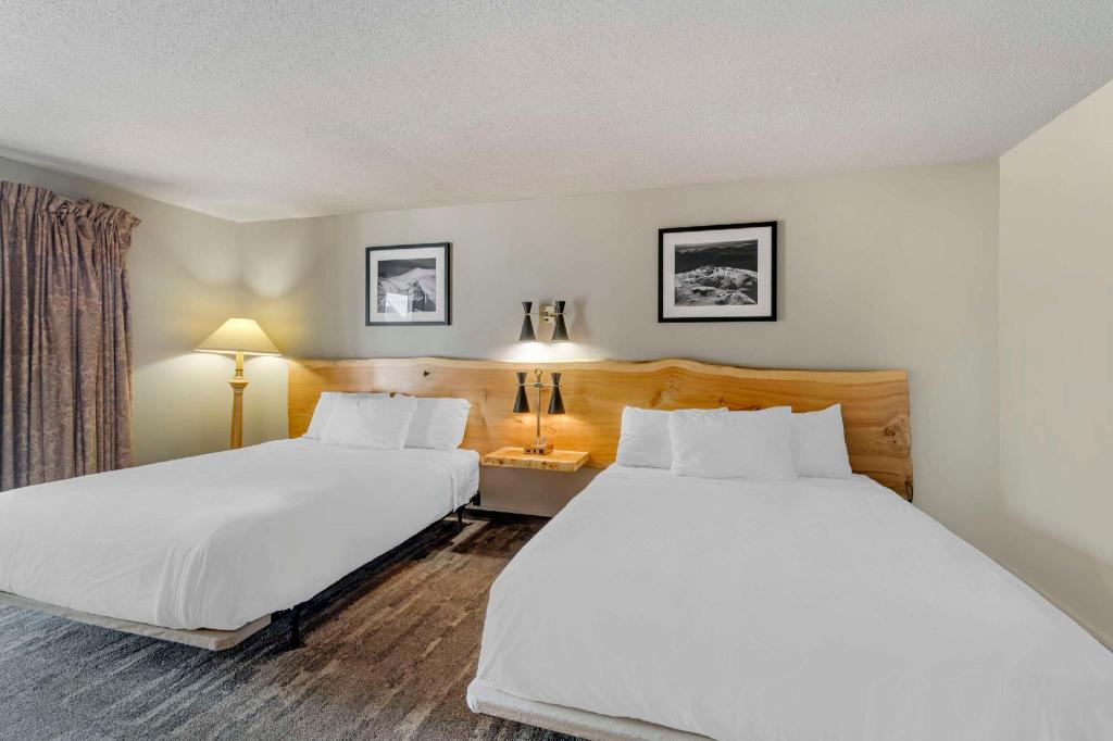 Efficiency, Quadruple, 2 Queen Beds
