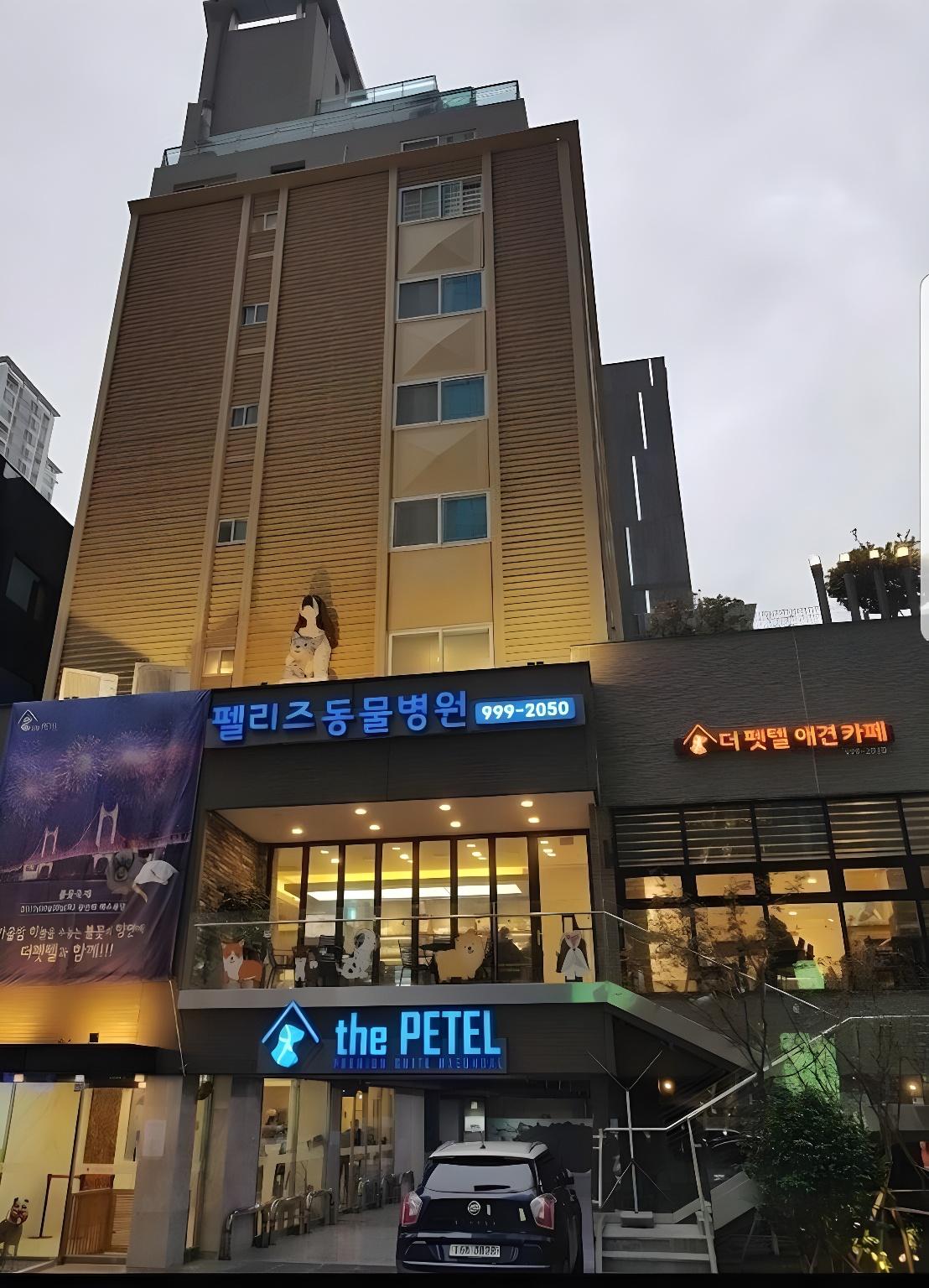 The Petel Premium Suite(with Pet only) 3/33