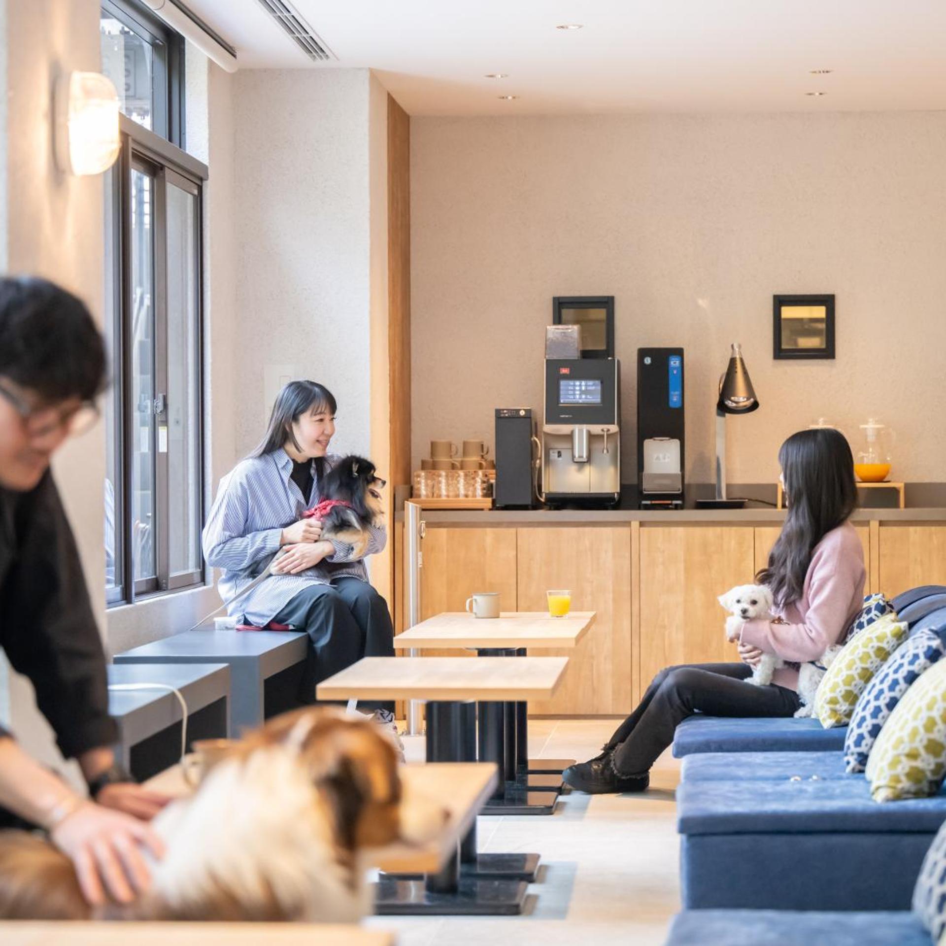 hotel anddoggy Kyoto Nijo 33/50