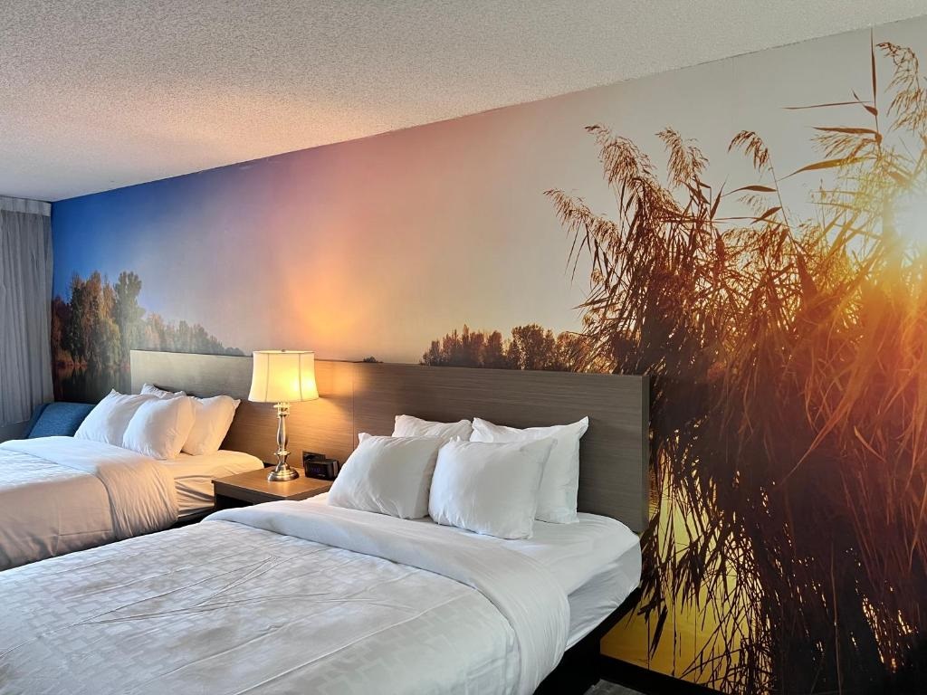 Room, 2 Queen Beds