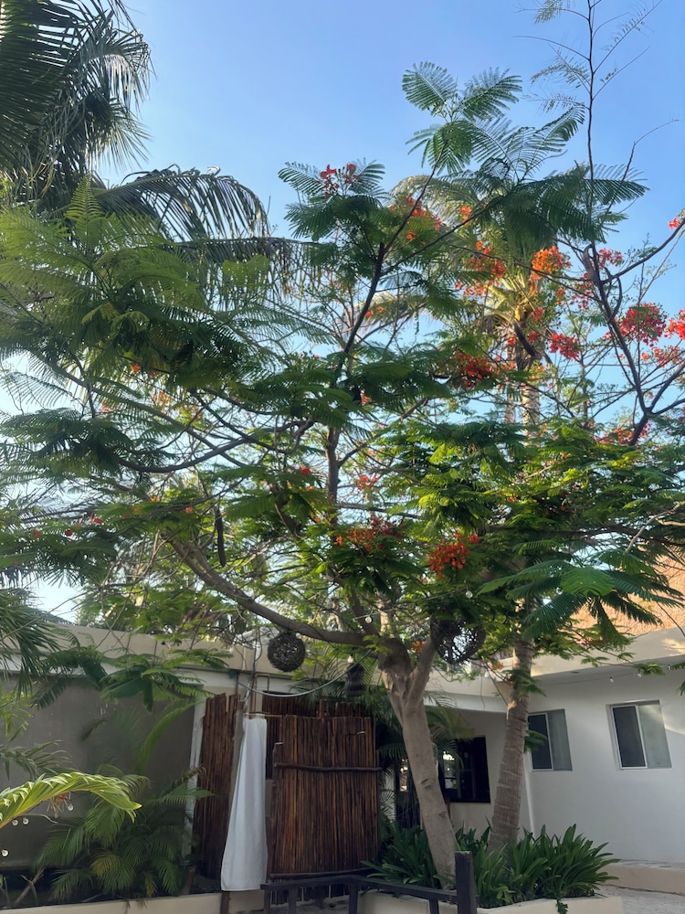 La Diosa Kali Beach Front Hotel 44/50