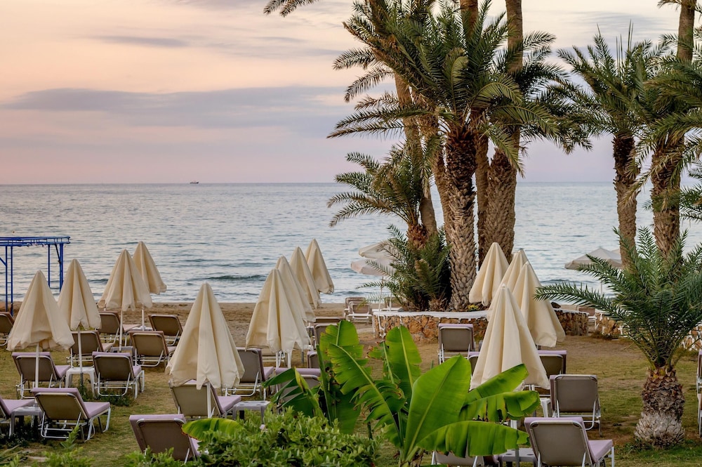 Zeus Hotels Palm Beach Hotel 54/63