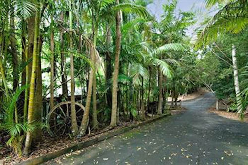 Kondalilla Eco Resort 42/47