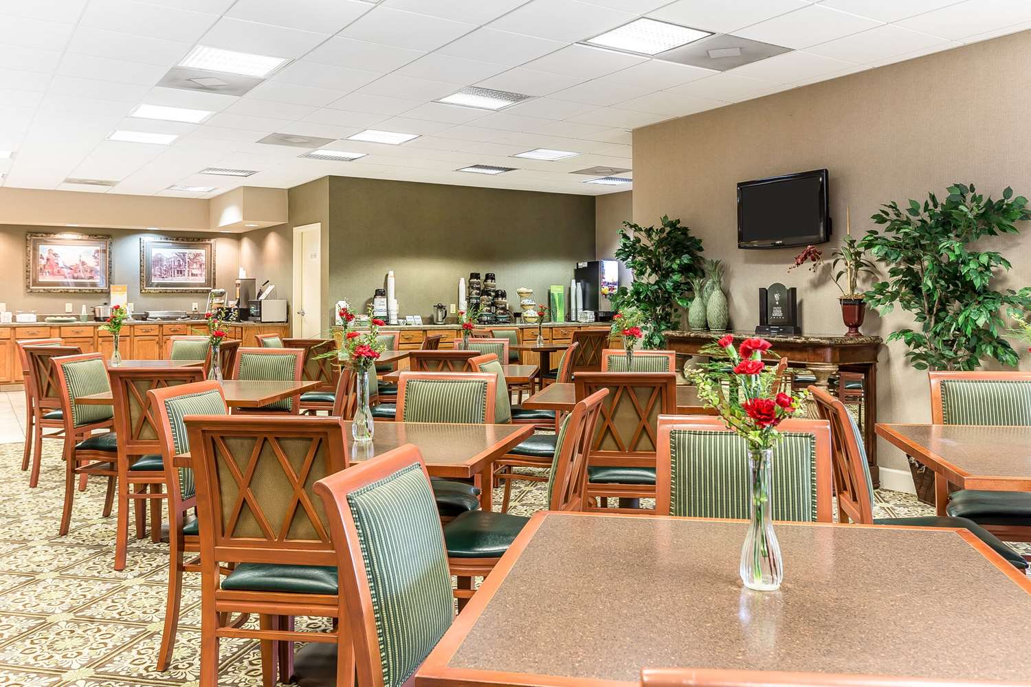 Quality Inn & Suites Georgetown 28/34