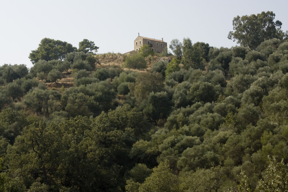 Pyrgos Petropoulaki 37/50