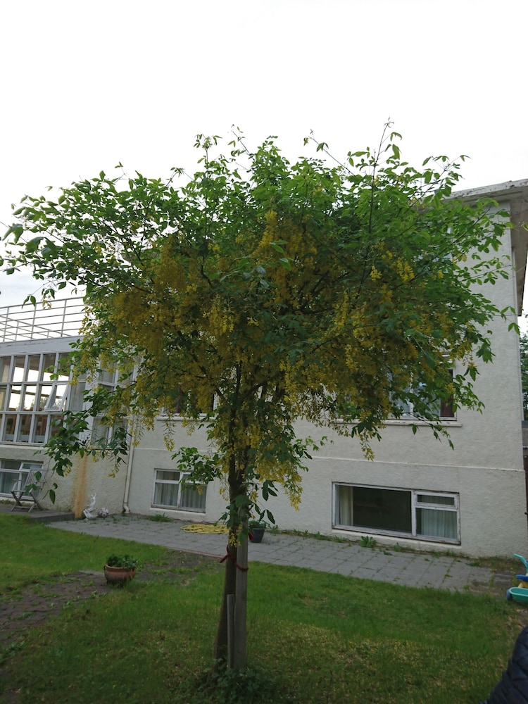 Alba Guesthouse 27/32