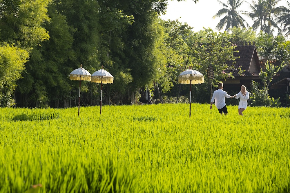 Alaya Resort Ubud 58/71