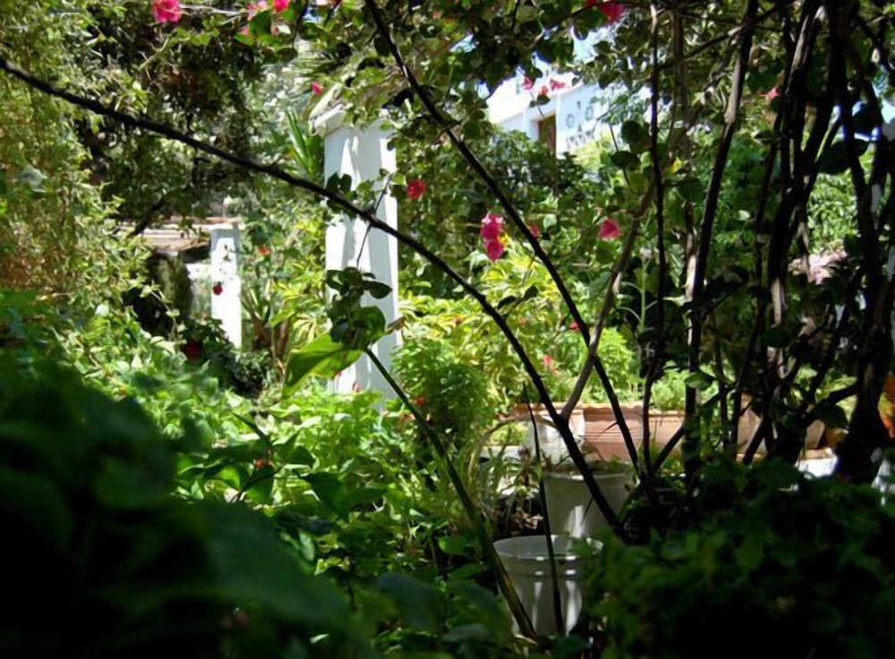 Villa Pinelopi 40/50