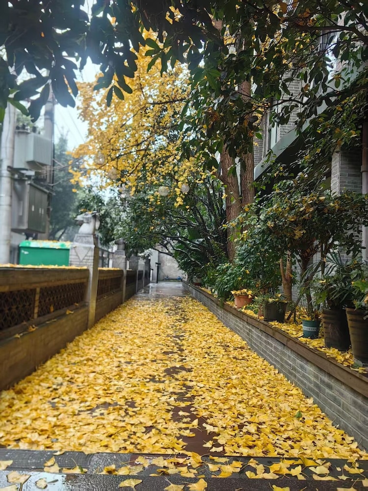 Nostalgia Hotel (KuanZhai Alley ChengDu) 46/49