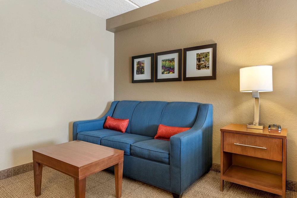 Comfort Inn & Suites Orlando North 16/25