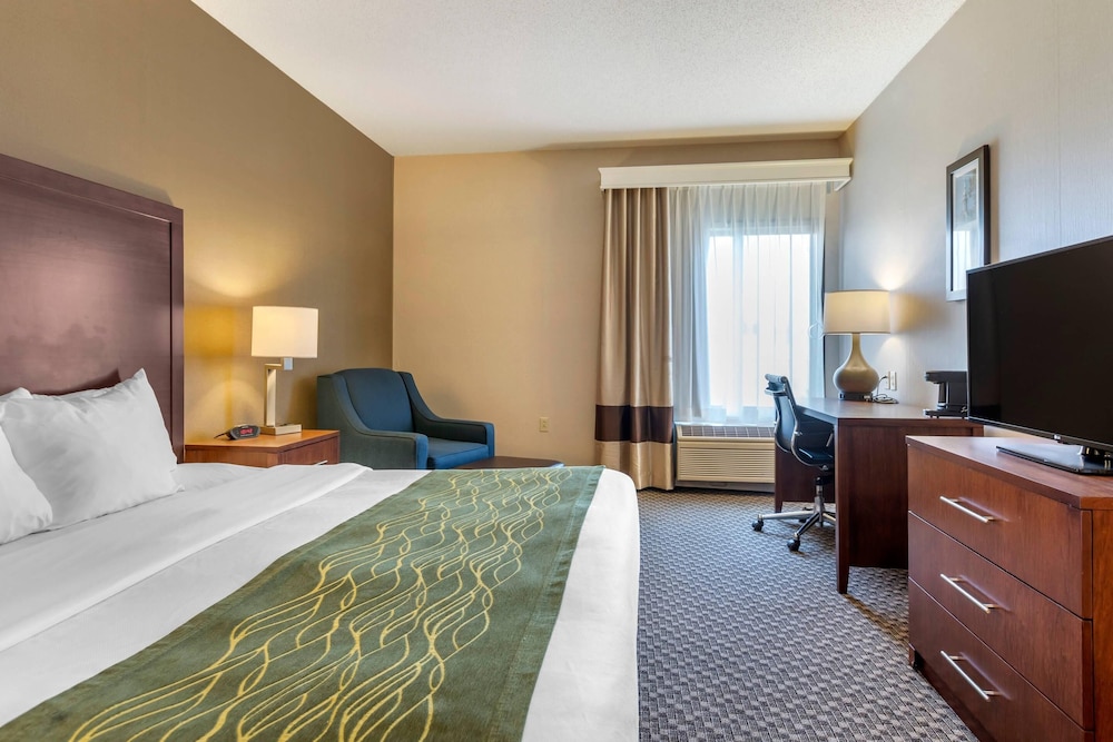Room, King Bed, Accessible