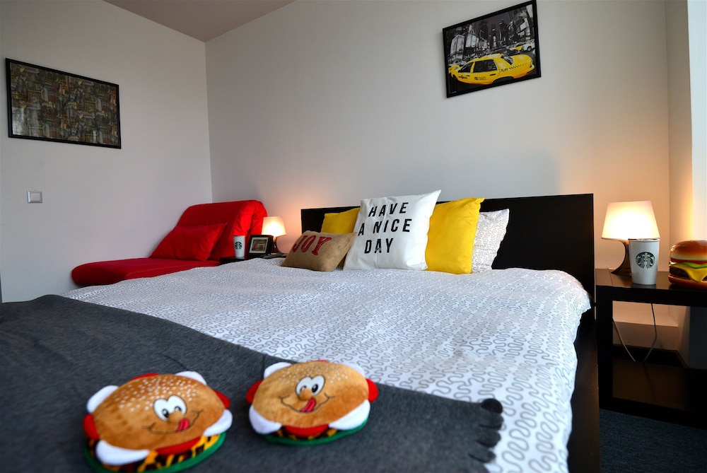 Hotel Biscuit 12/50