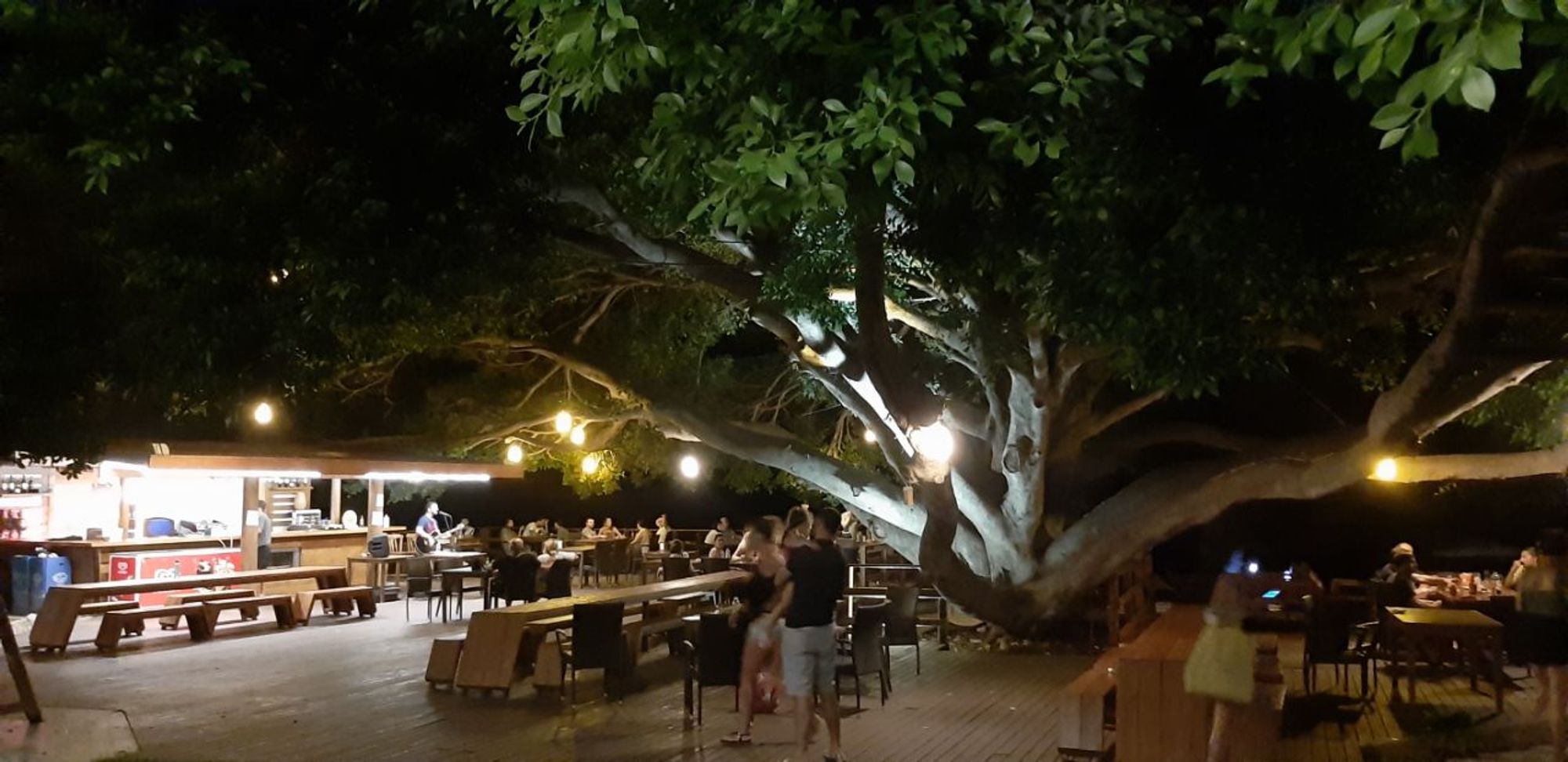 Marvel Tree Hotel 30/36