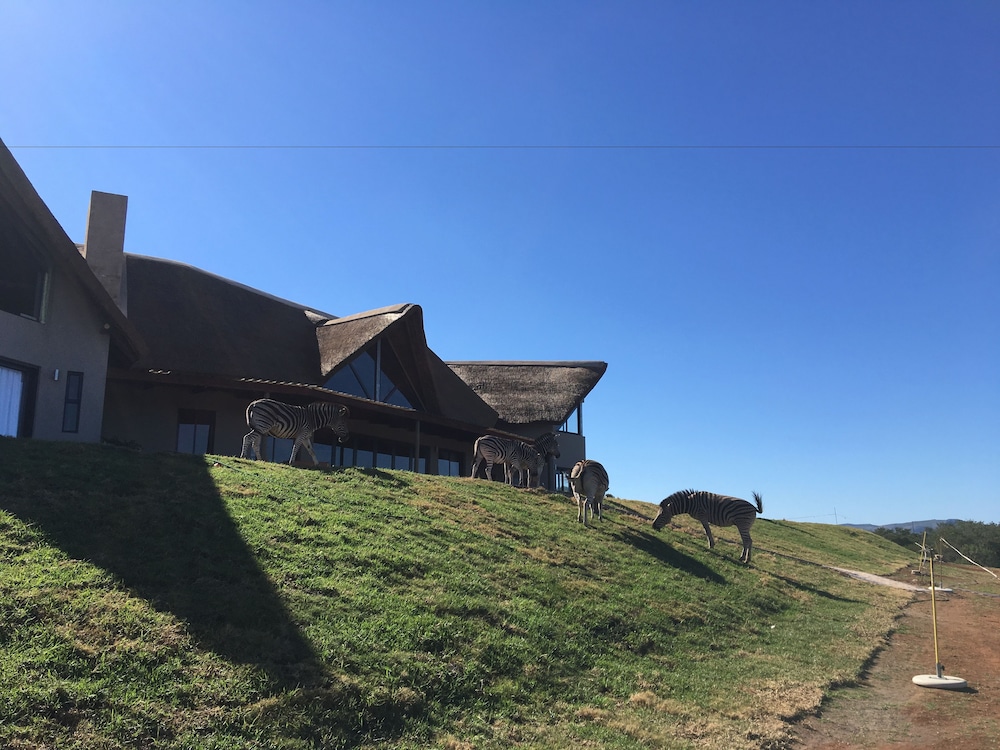 J-Bay Zebra Lodge 6/50