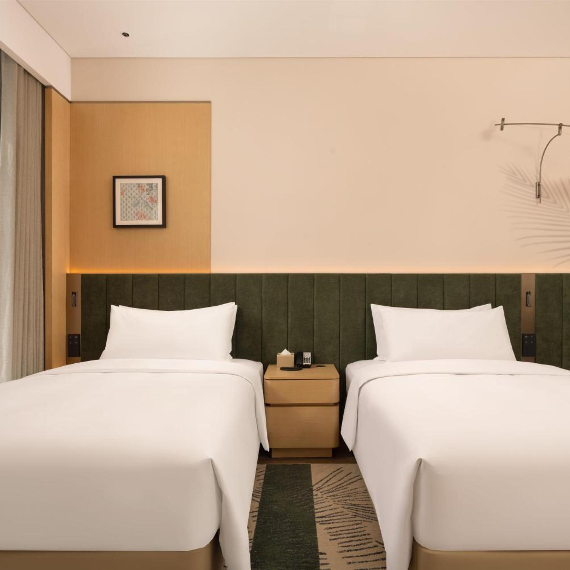 Hilton Garden Inn Jinghe County 29/52