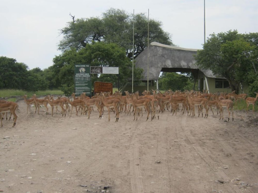 Khwai Tented Camp 45/50