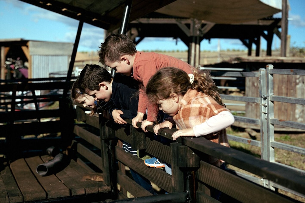 Hunter Valley Resort + Farm 27/37