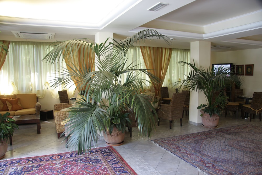 Hotel Nedy 37/47