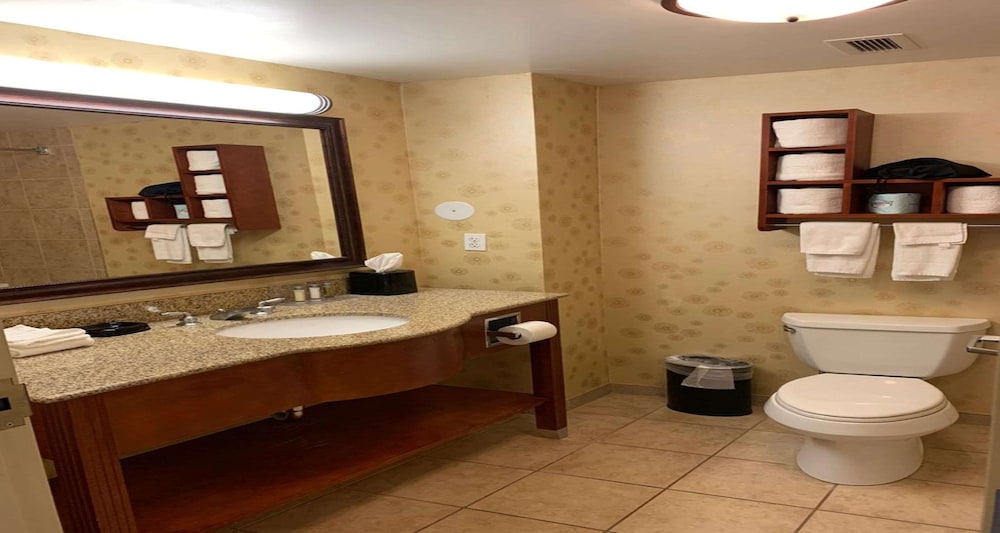 Hampton Inn & Suites Salida 17/43