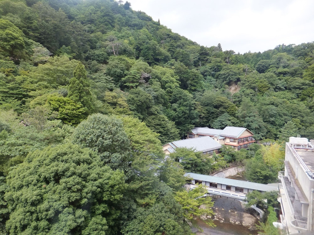 Arima Onsen Gekkoen Korokan 45/50