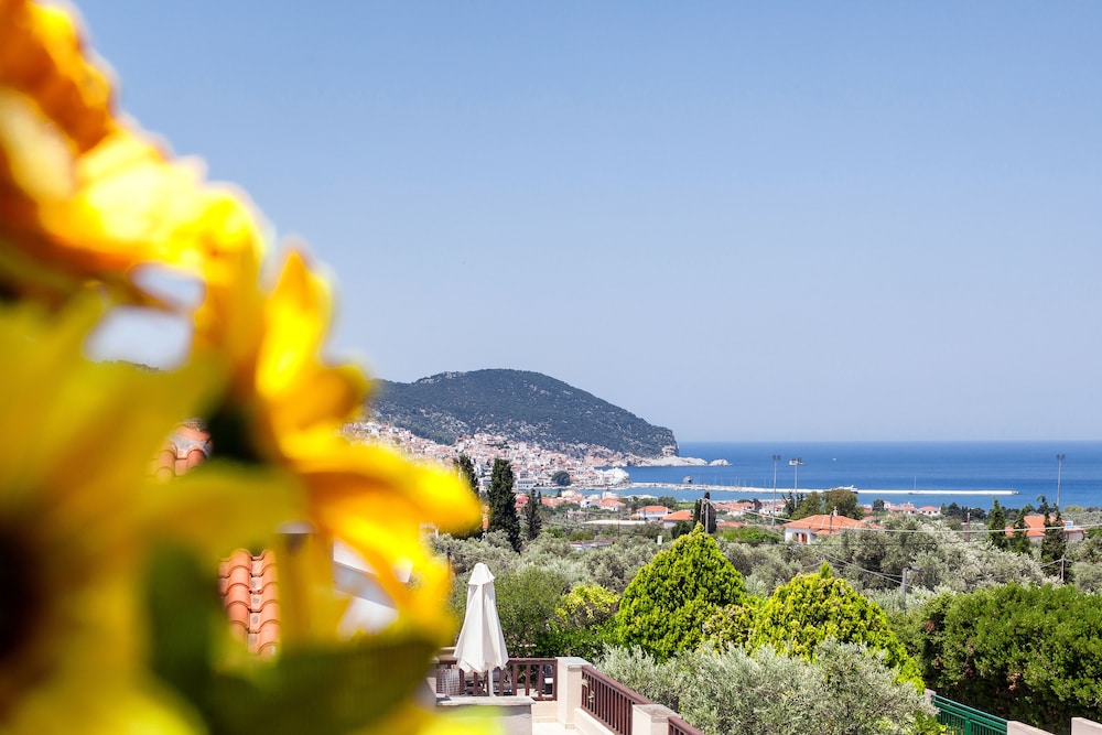 Skopelos Holidays Hotel 64/71
