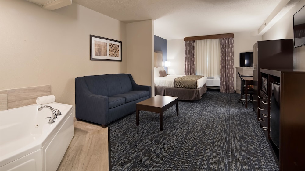 Best Western Plus Flint Airport Inn & Suites 23/38