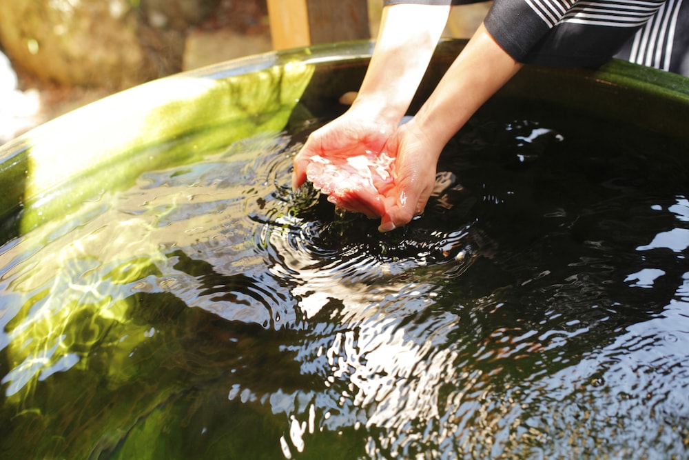 Ryokan Ohashi 24/38